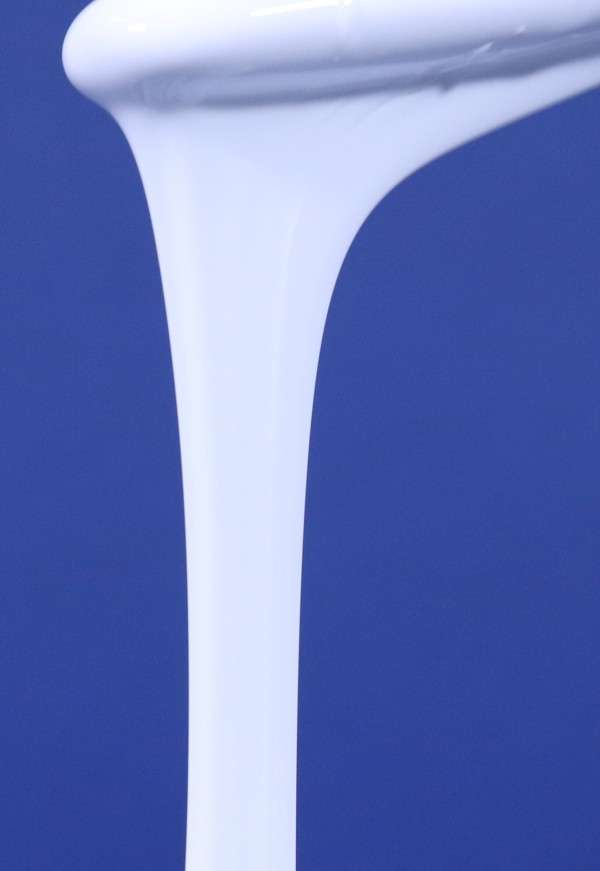RTV-2 silicone